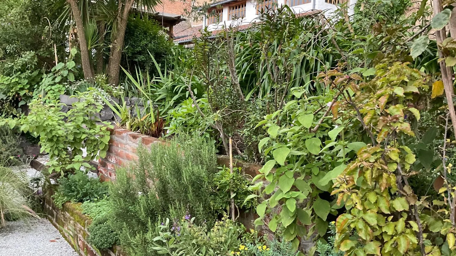 Apartman Wantara Suites Quito Ecuador